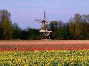 Keukenhof Gardens Lisse The Netherlands