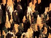 Hoodoos in Bryce Canyon National Park Utah