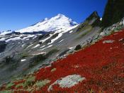 Mount Baker North Cascades Washington