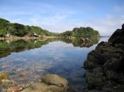 Stewart Island New Zealand