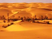 Desert Oasis Libya