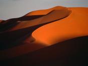 Shadows in the Sand Morocco