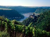 Burg Katz above the Rhine Germany