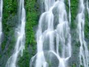 Gifford Pinchot National Forest Washington16