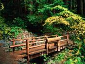 Sol Duc Falls Trail Olympic National Park Wash