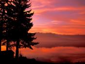 Living Waters Hood Canal Washington