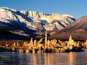 Sea of Microscopie Life Mono Lake Sierra Nevada California