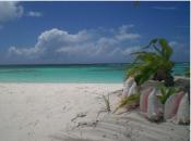 Cow Wreck Beach, Anegada