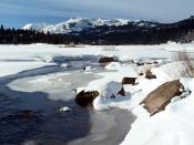 National Forest California